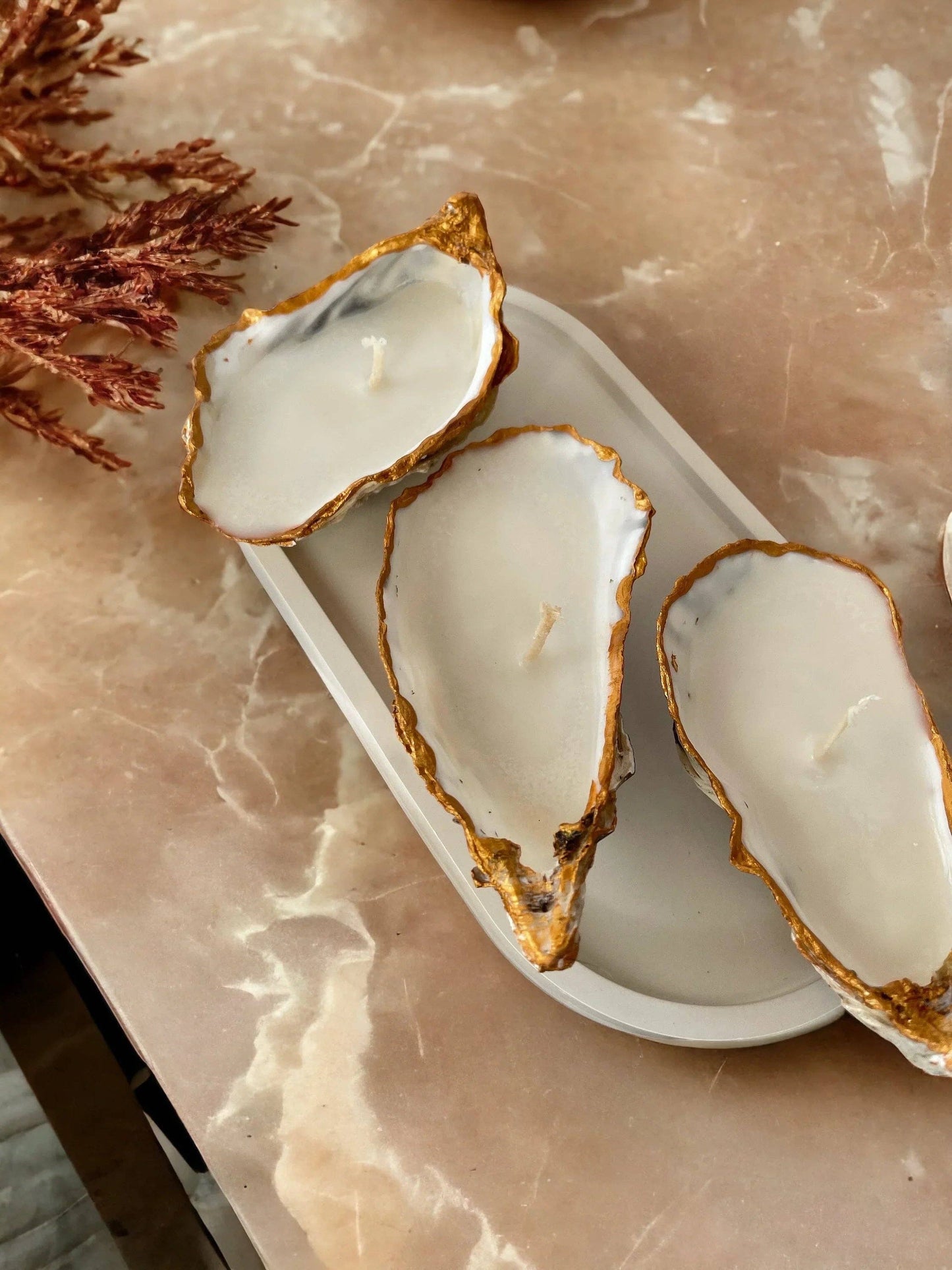 Oyster Shell Natural Seashell Candles