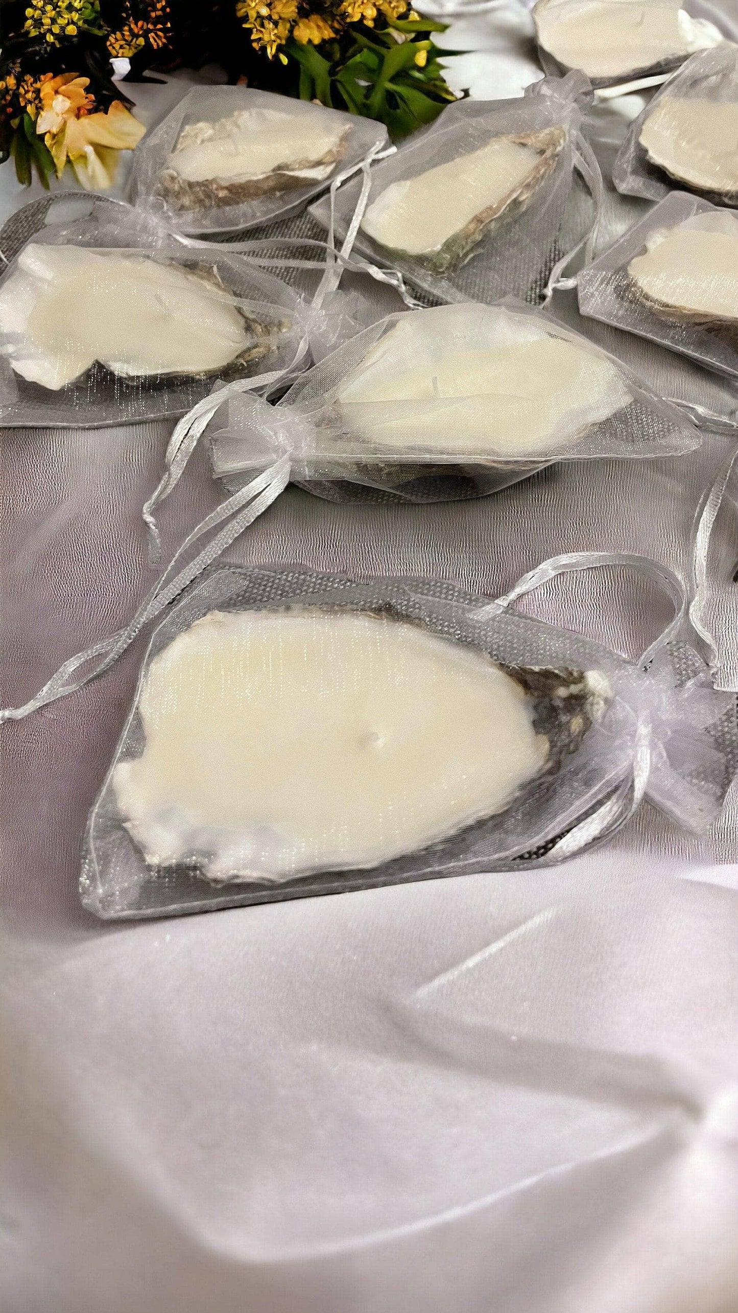 Oyster Shell Natural Seashell Candles